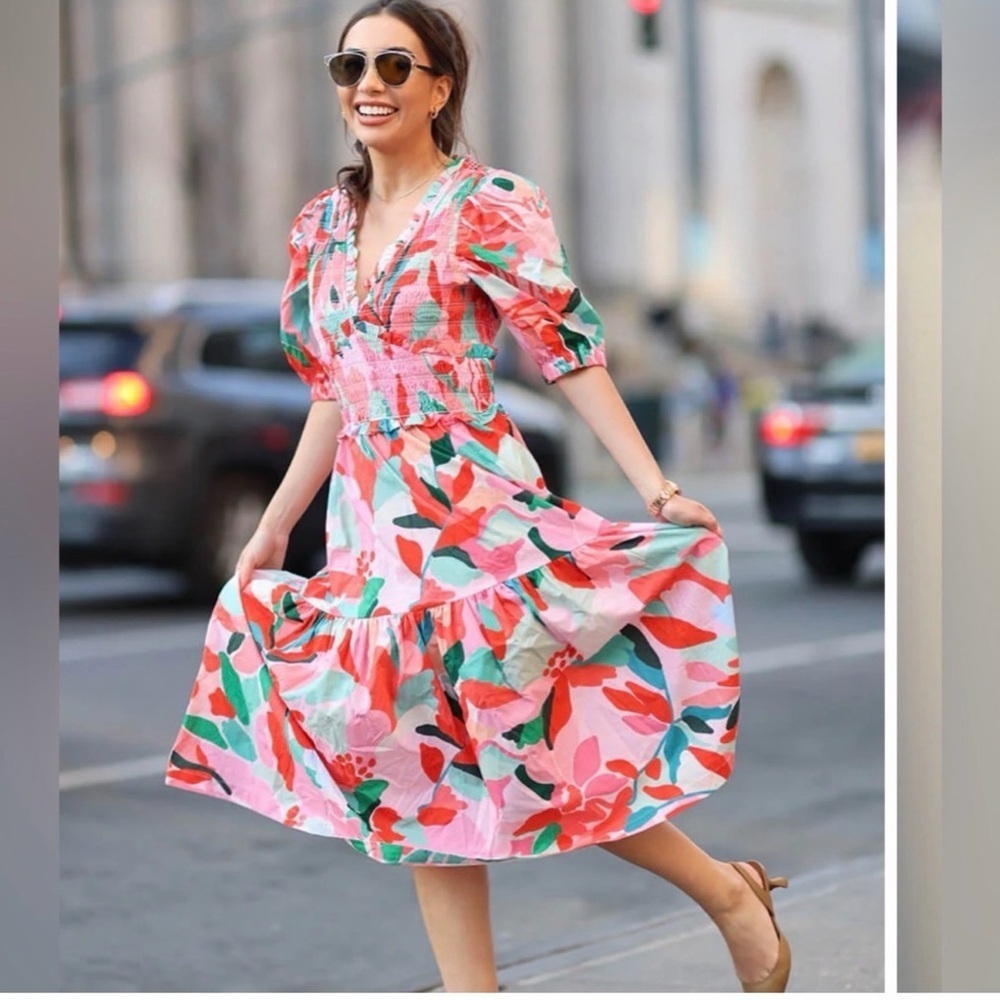 NWT Jessie Zhao MARISA WATERMELON SMOCKED MIDI DRESS Size 4